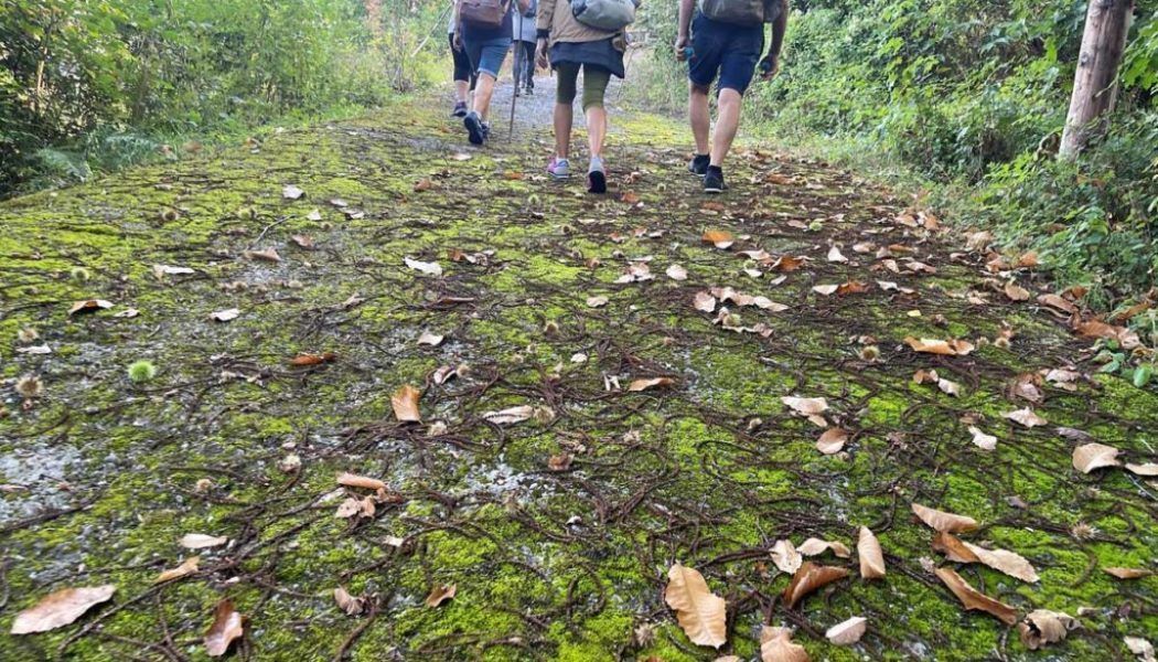 Camino · Etapa 4 camino de san salvador