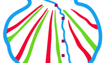FAVICON CAMINO SAN SALVADOR